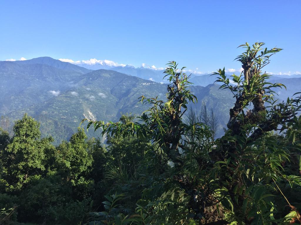 Shikher Kalimpong Εξωτερικό φωτογραφία